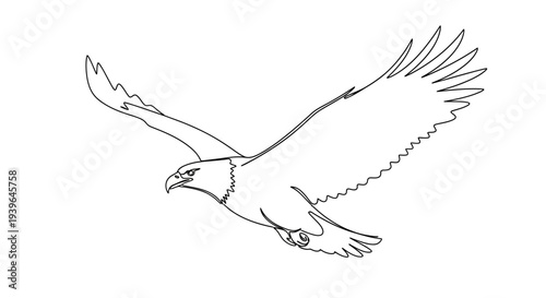 Bald Eagle Flying Line Art - Majestic Bird of Prey in Flight