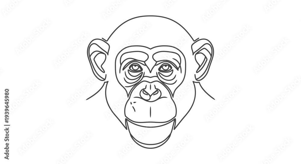 Obraz premium Chimpanzee head outline drawing, simple monkey face illustration, black and white sketch