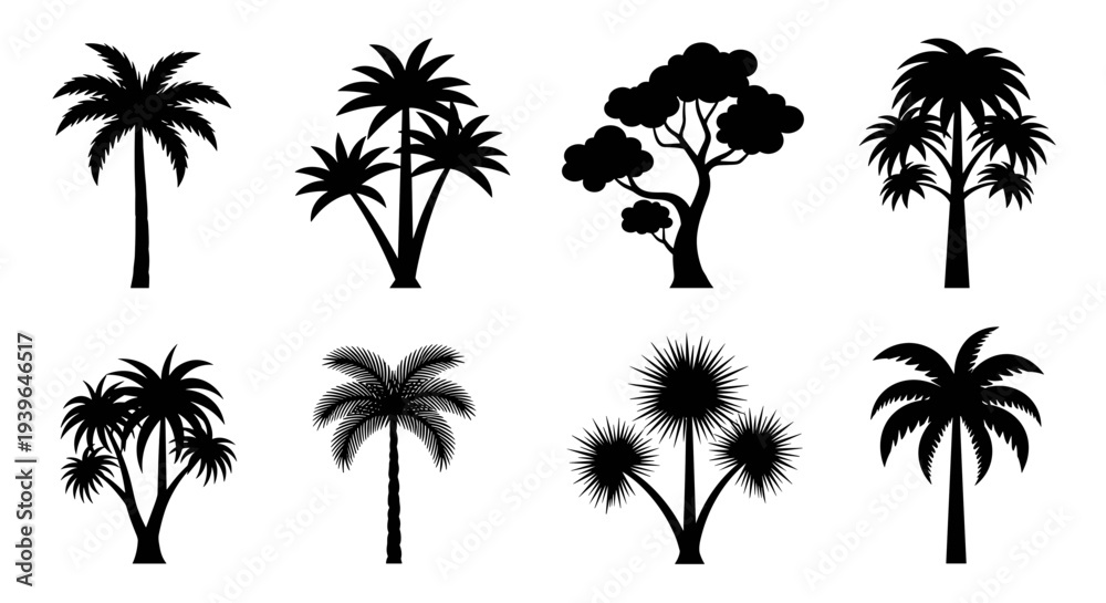 Fototapeta premium Silhouettes of various tropical palm trees on a white background 