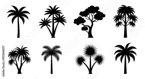 Silhouettes of various tropical palm trees on a white background  