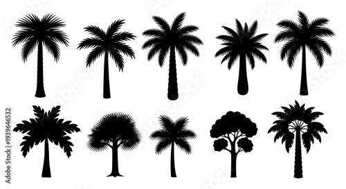 Black silhouettes of various palm trees and tropical plants  