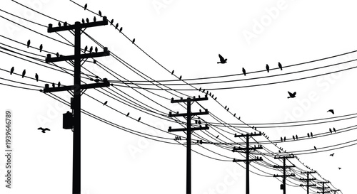 Black silhouettes of birds sitting on electric power lines and utility poles set featuring flying crows isolated on white background
