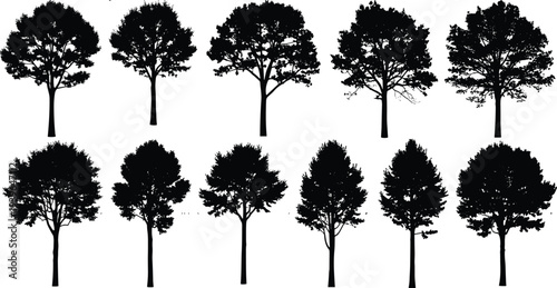 Vector illustration of high voltage transmission towers and electricity pylons set against white background for power energy and industrial infrastructure.