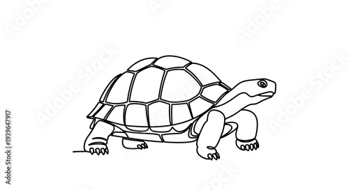 Line Art Tortoise Walking Isolated on White Background