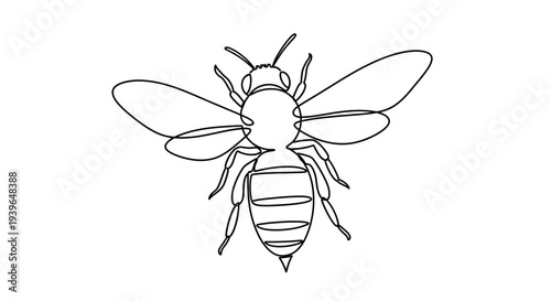 Minimalist Bee Illustration: Single Line Art Drawing of an Insect