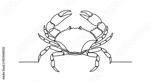 Minimalist Crab Line Art Illustration - Vector Drawing