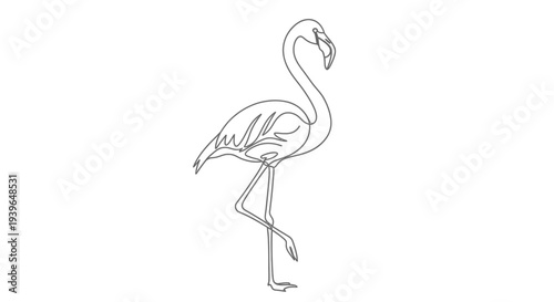Minimalist Flamingo Outline Drawing - Elegant Bird Silhouette