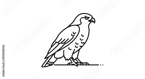 Minimalist Falcon Line Art Icon - Bird of Prey Silhouette