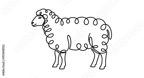 Minimalist sheep line art, black and white drawing, simple farm animal illustration
