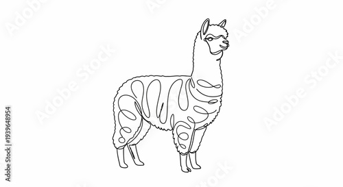 Minimalist single line drawing of an alpaca, outline art, simple animal illustration