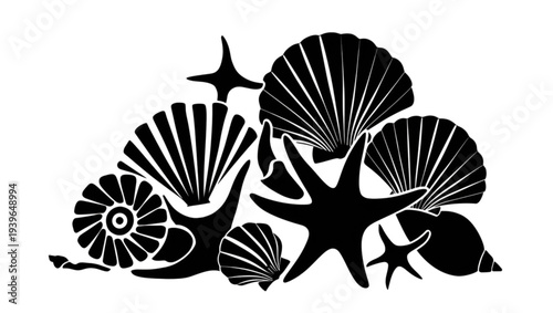 Black and white vector illustration of a sea shell and sea urchin marine nature design suitable for beach and ocean themed decoration