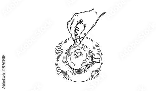 Hand putting sugar cube into coffee cup vintage sketch vector illustration