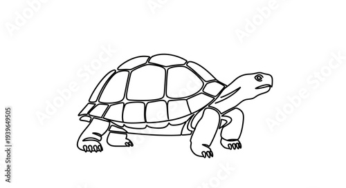 Outline Tortoise Silhouette Walking Isolated on White Background