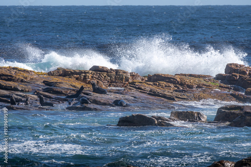 Dramatic Ocean Wave Crashing Against Coastal Rocks with White Sea Spray