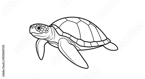 Sea Turtle Outline Drawing - Simple Line Art Illustration