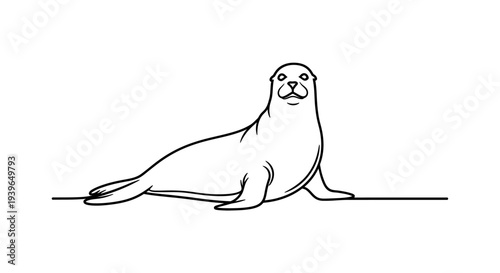 Seal, Line Drawing, Animal, Cute, Marine Mammal, Simple Vector