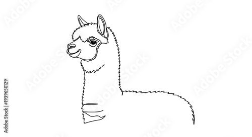 Simple Line Art Illustration of a Cute Alpaca Face and Neck