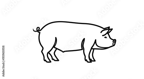 Simple Line Drawing of a Pig, Farm Animal Illustration