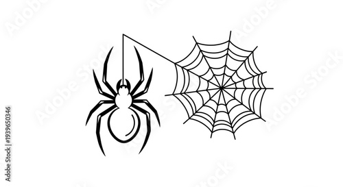 Spider and Web Silhouette - Minimalist Insect Illustration