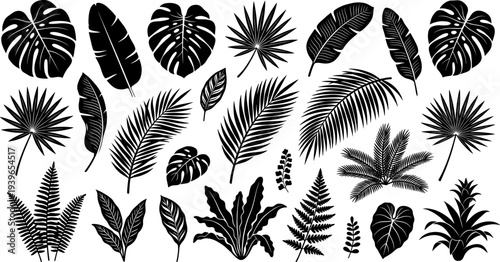 Tropical leaf silhouette icon vector illustration set featuring palm fronds, monstera, banana leaves, and exotic foliage motifs
