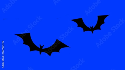Flying Bat Isolated on Blue Screen – Halloween Concept