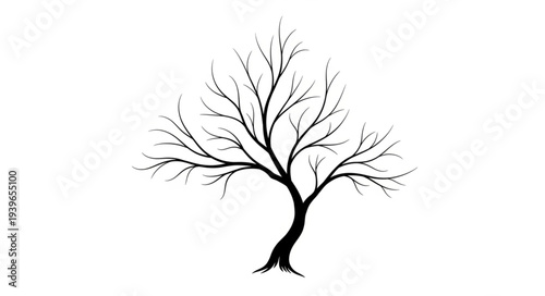 Silhouette of a Leafless Tree with Branches.