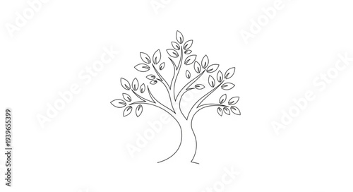 Elegant Tree Illustration with Detailed Branches and Leaves.