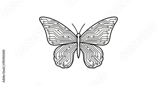 Black and White Butterfly Illustration.