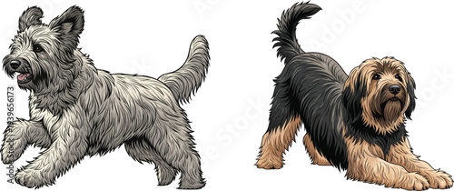 Briard dog running playful play bow vector illustration pose set