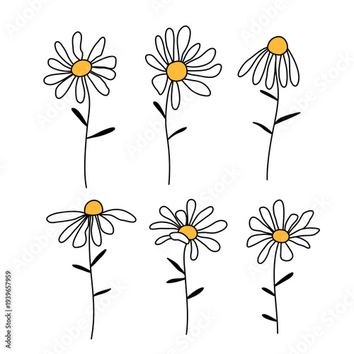 Chamomile flowers simple minimalist doodle drawings, set of cute cartoon style illustration