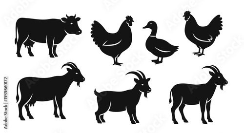 Farm animals silhouettes set: cow, chicken, duck, and goats, vector icons for agriculture
