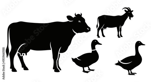 Farm Animals Silhouettes Set: Cow, Goat, and Ducks Vector Illustration