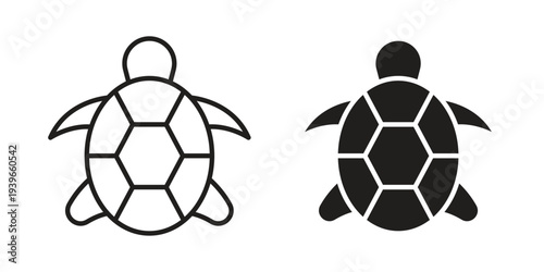 Tortoise icon