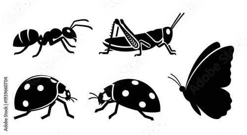 Insect Silhouettes Collection: Ant, Grasshopper, Ladybugs, and Butterfly Vector Set