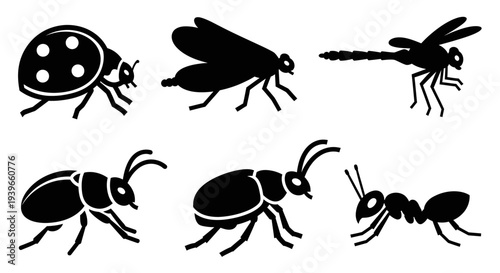 Insect Silhouettes Collection: Bugs, Ladybug, Dragonfly, Ant, Beetle Icons Set