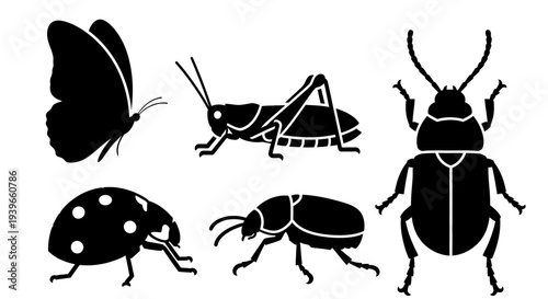 Insect Silhouettes Collection: Butterfly, Grasshopper, Ladybug, and Beetles Vector Set