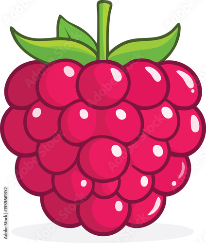 vector illustration of ripe raspberries