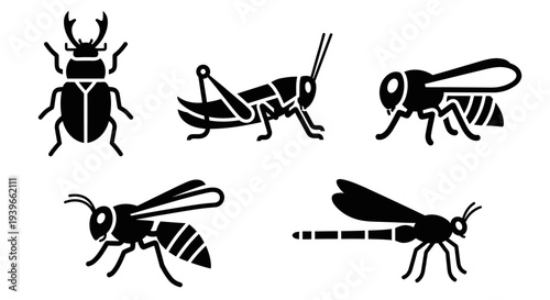 Insect silhouettes set: beetle, grasshopper, bee, wasp, and dragonfly icons