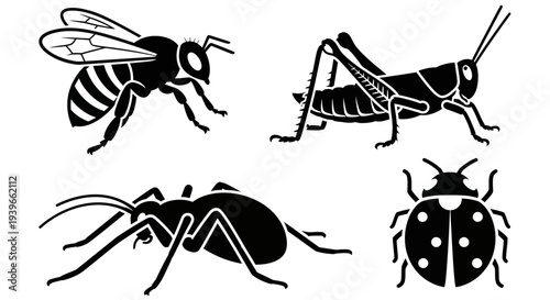 Insect Silhouettes Set: Bee, Grasshopper, Ant, Ladybug Vector Icons