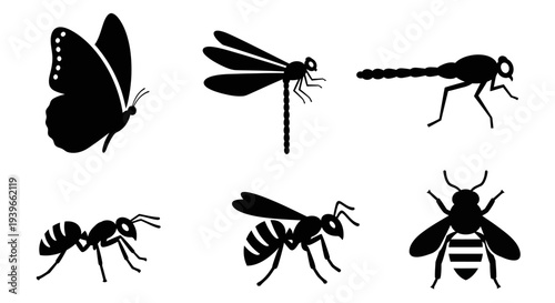 Insect Silhouettes Set: Butterfly, Dragonfly, Bee, Wasp, and Ant Icons on White