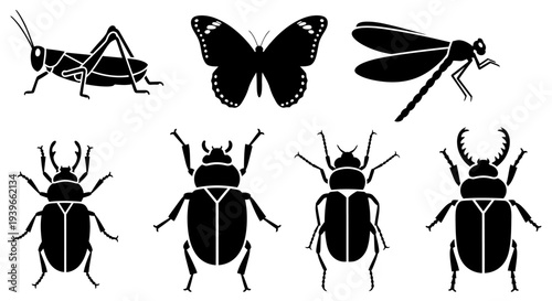 Insect Silhouettes Set: Various Bugs, Beetle, Butterfly, Grasshopper, Dragonfly Icons Collection