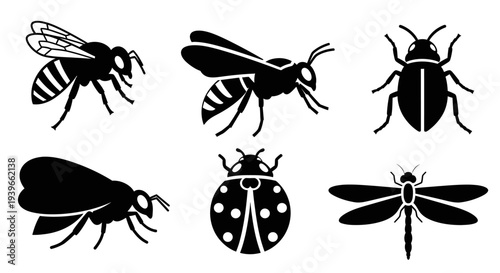 Insect silhouettes set, various bugs and flying insects icons
