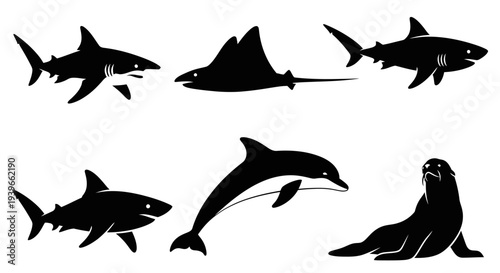 Marine Animals Silhouettes Collection: Sharks, Manta Ray, Dolphin, and Seal Icons