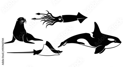 Marine Animals Silhouettes Set: Orca, Sea Lion, Squid, and Stingray