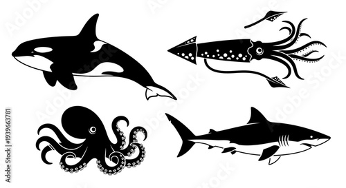 Marine Animals Silhouettes Set: Orca, Squid, Octopus, and Shark Vector Graphics