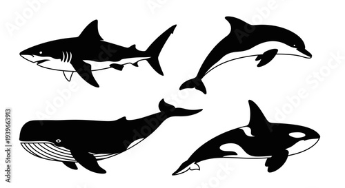 Ocean Life Silhouettes Set: Shark, Dolphin, Whale, and Orca Vector Icons