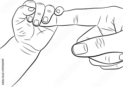 Adult finger gently holding baby finger trust love and connection symbolized by simple outline drawing against transparent background