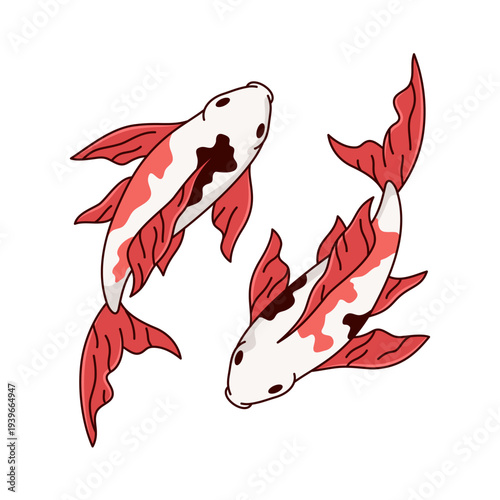 A pair of koi fishes, carps, asian japan illustration