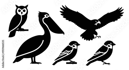 Various bird silhouettes: owl, pelican, eagle, and sparrows on white background