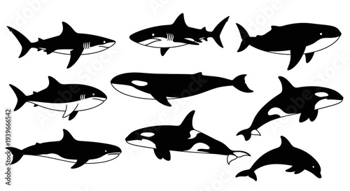 Sharks and Killer Whales Silhouettes Set - Marine Predators Collection